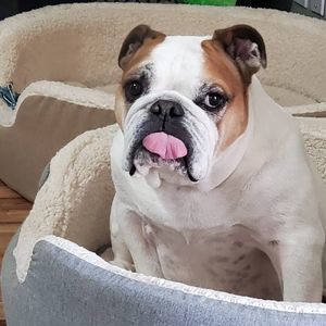 Meet your Posher, Audie